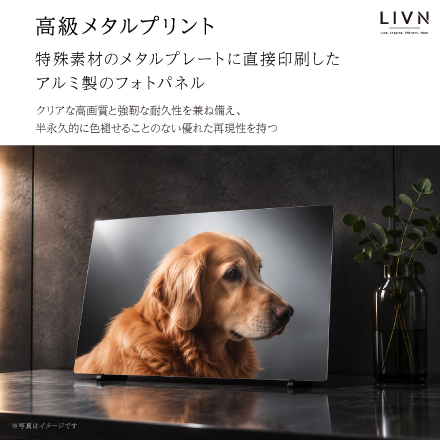 PREMIUN DOG PHOTO（ドッグフォトアート）A2相当　[ LIVN （リブン) ]