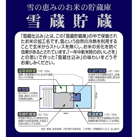 新米 新潟県産 こしひかり 5kg 令和6年産