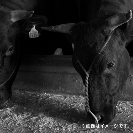 冷凍 米沢牛サーロインステーキ 360ｇ（2枚）、牛脂付