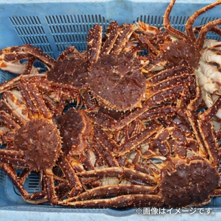 北海道産根室たらばがにポーション 500ｇ×2