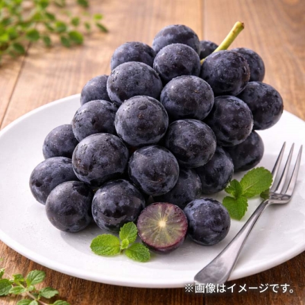 シャインマスカットとナガノパープル2.5ｋｇ