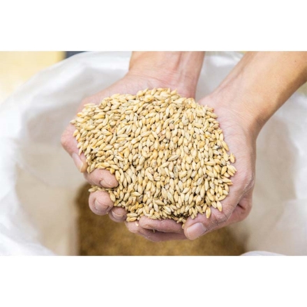 希望の丘醸造所 デイリービール3種