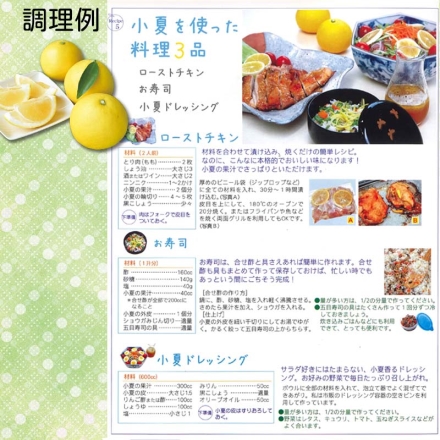 贈答用 夏小夏（ナツコナツ）1.5ｋｇ 送料込み