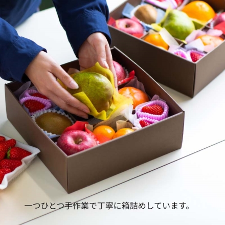 夏の果物9品詰合せ 送料込み