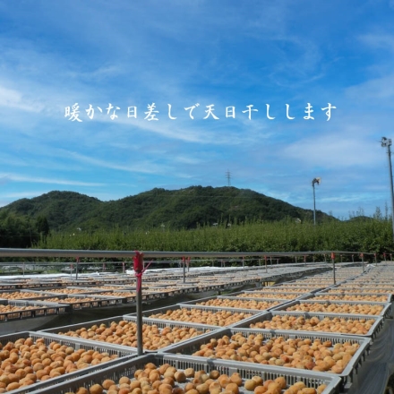 紅梅園 まろやかはちみつ南高梅 2箱