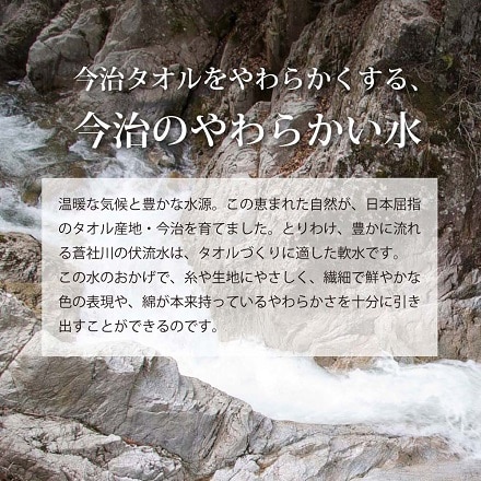 今治タオル 4枚セット 抗菌防臭加工 しっかり甘撚り スリム バスタオル ラベンダー 約45×100cm 日本製 st-m-sbt-lav-4p