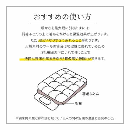 ieoiea 国産 ウール 毛布 スタンダード シングル ネイビー ECWL01