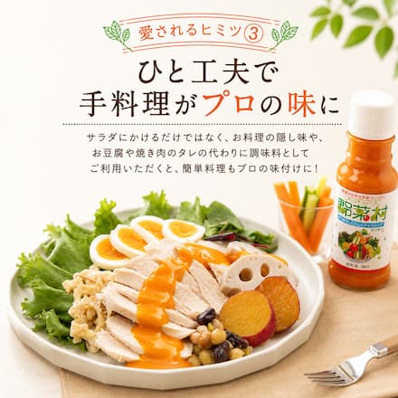 野菜村ドレッシング・調味料 100ｍｌ×14種
