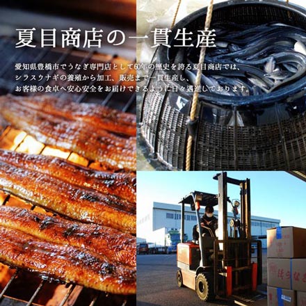 ギフト うなぎ 蒲焼き 国産 特々大211-230×5尾 （約10人前） 化粧箱