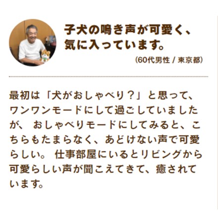 音声認識 ぬいぐるみ しばいぬ コウタ バンダナつき セット