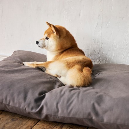 コージーベッド チャコール