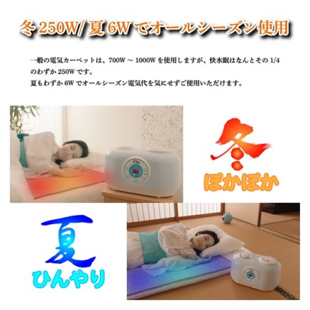 省エネ対応 オールシーズン温冷マット 快水眠 ダブルサイズ