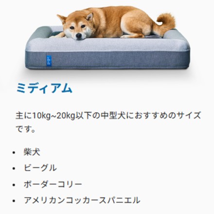 gugu ドギー 犬用ベッド グレー XSサイズ