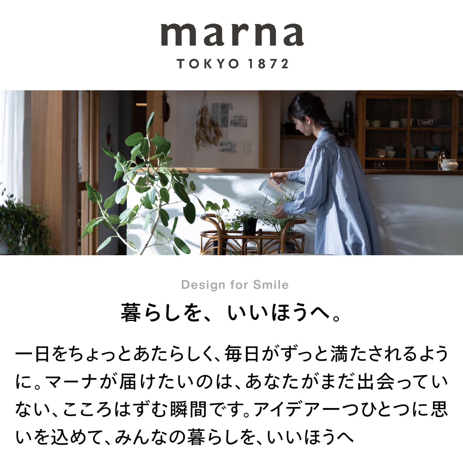 marna 汚れからめ取りクロス（2枚入）