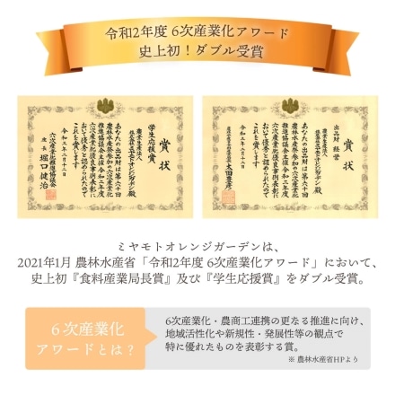 訳あり 愛媛みかん 大玉 5kg（L～3Lサイズ）20個から30個程度