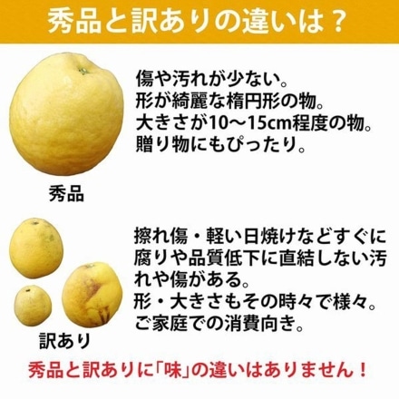 愛媛産 河内晩柑 秀品 7.5kg