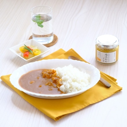 塩みかんの鯛カレー 200g×1箱