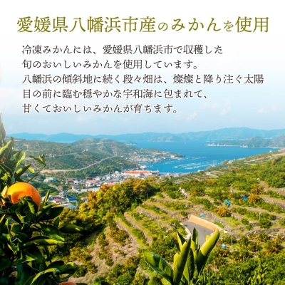 【訳あり】愛媛産 皮なし 冷凍みかん 1kg