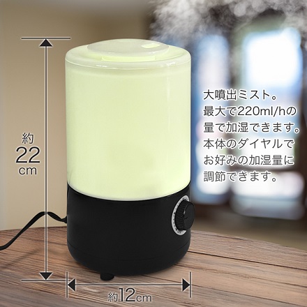 超音波式 アロマ加湿器 0.8L MIYAK-21W ホワイト