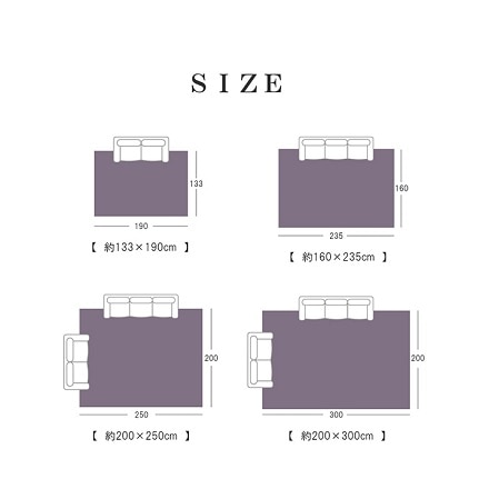 エクセレント カーペット 約200×250cm 2346459