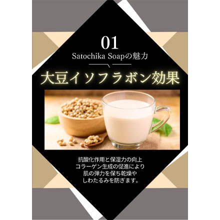 Satochika Soap 大豆 2個セット SS-D2 FUSION