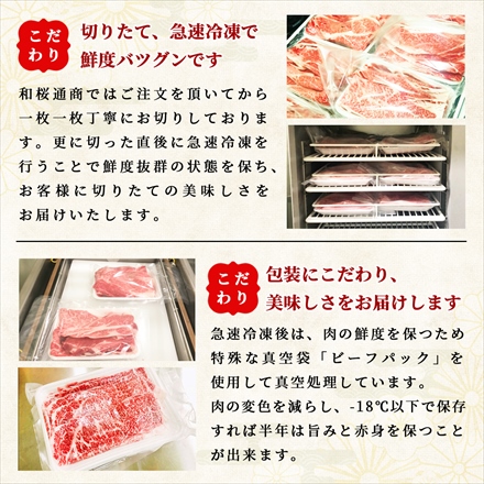 神戸牛 サーロインスライス500g(2～4人前) A5等級黒毛和牛メス牛 しゃぶしゃぶ・すき焼き用 Kobe Beef Sirloin Slice