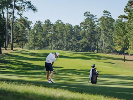 テーラーメイド Qi Max アイアンセット 6本組(6-P,A) REAX カーボンシャフト R/REAX 65