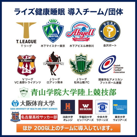 超高反発ウレタンリラックスピロー ゼログラビティ 反発力 弾力性 ライズ RISE 健康睡眠 枕 まくら ピロー