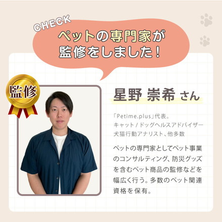 ペットシーツ 薄型 ホワイト 大容量 超吸収 抗菌 消臭 愛玩動物介護士監修 ワイド