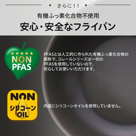 CORELLE コレール フライパン 20cm 10年保証 IH対応 ガス火OK フッ素不使用 PFOA PFAS フリー 強火調理 金属ツール オーブン DuraNano デュラナノ CSFP20SV ドウシシャ DOSHISHA