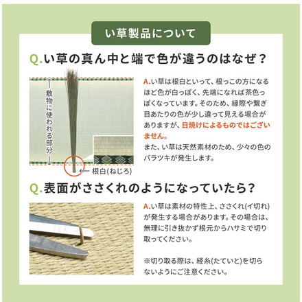 アジアンテイストの軽量小型置き畳 南風 65×65cm い草 置き畳 畳マット カーペット アジアンテイスト 和モダン ネイビー[159054910]
