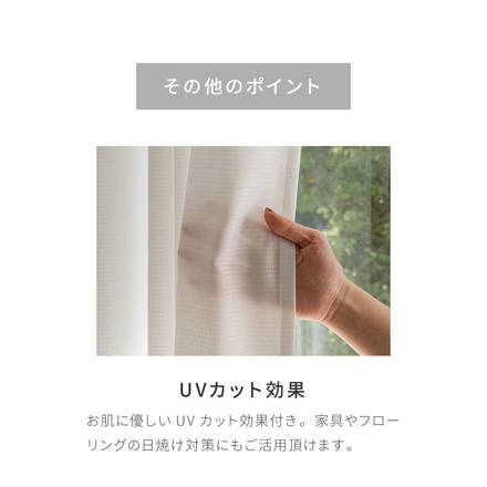 レースカーテン 柄 モンステラ プリント 見えにくい 40サイズ UVカット 遮像 断熱 保温 ウォッシャブル カーテン 省エネ 一人暮らし 新生活 幅100 幅200 ボタニカル 植物 幅100×丈108cm2枚組
