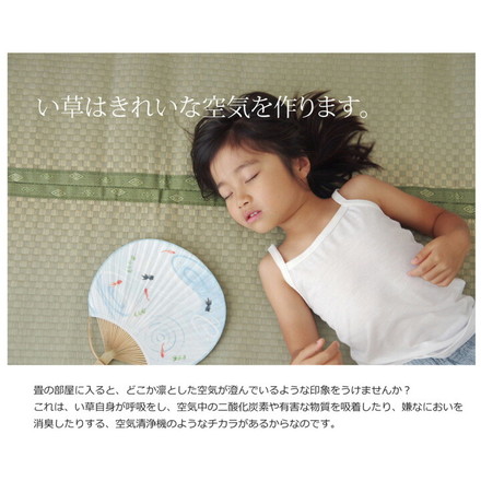 日本製 ラグ カーペット い草上敷 敷き詰めタイプ 純国産 い草 上敷き カーペット 市松織 『不知火』 三六間6畳(約273×364cm)