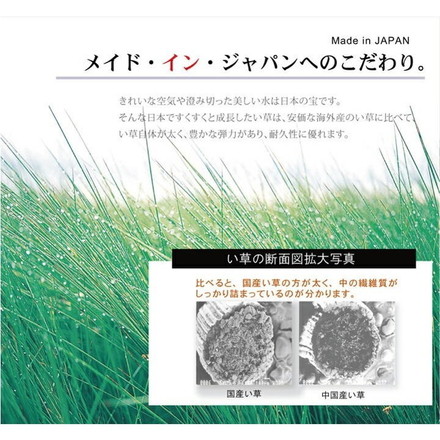 純国産 い草花ござカーペット 『ラビアンス』 ローズ 江戸間6畳(約261×352cm) ラビアンス