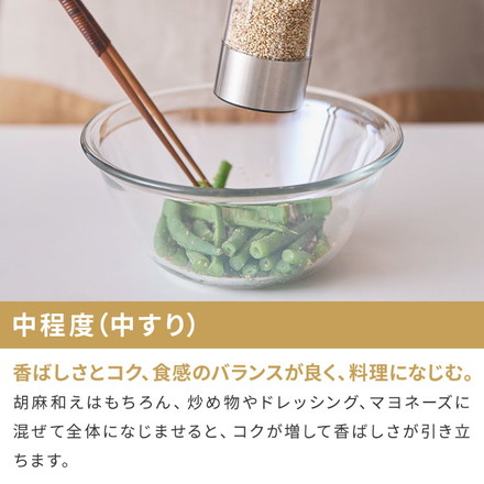 ラッセルホブス 充電式ゴマミル 7950JP 電動 ミル スタンド付き LEDライト USB充電 セラミック刃 シルバー ゴマすり器 すりごま 胡麻 Rechargeable Sesame Mill Russell Hobbs 正規販売店