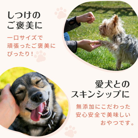 【5個セット】 犬用 おやつ 食べ切りサイズ 無添加 お肉 お魚 日本製 国産 犬用おやつ ご飯 mimipets パリパリしゃけ