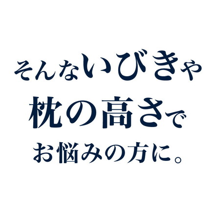 ギフト仕様 いびき軽減枕 パイプ 高さ調節可能 パイプ枕