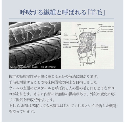 2層式ウールベッドパッド シングル 100×200cm ホワイト デオメタフィプレミア加工 抗菌防臭 洗濯可能 洗える
