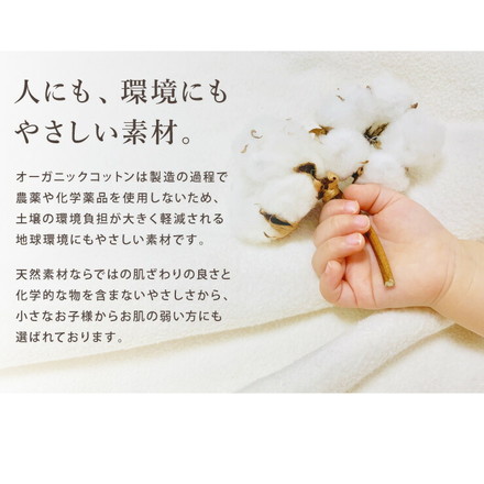 抱き枕 U字 綿100% オーガニックコットン 洗える グレー