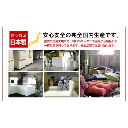 日本製 座面厚め 座椅子 リクライニング ソファ 一人用 ローバック 和座椅子 和室 たたみ チェア ベージュ