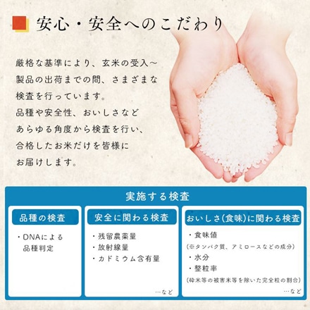 新潟県産 アイリスの低温製法米 新之助 8kg(2kg×4袋)