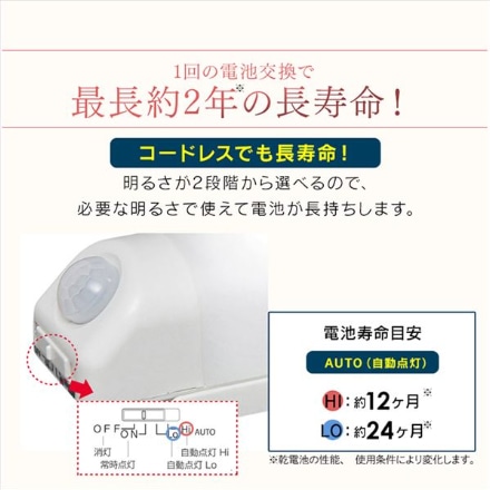 アイリスオーヤマ 乾電池式LEDセンサーライト ウォールタイプ BSL40WL-WV2 電球色