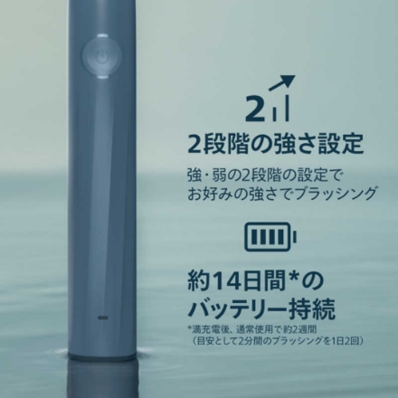 フィリップス 電動歯ブラシ ソニッケアー 2100シリーズ HX4021/04 [マリンブルー]