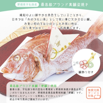 坂井宏行監修 フレンチお食い初め膳 祝い鯛姿焼きコース 鯛1.5kg アグニ―食器付