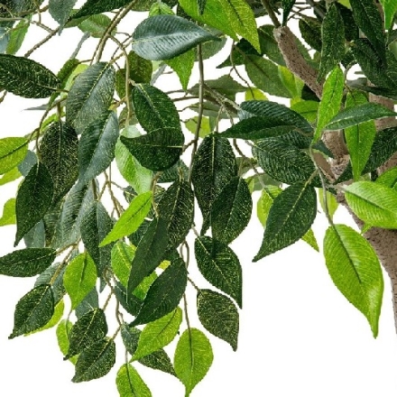 人工観葉植物 ベンジャミン 光触媒 フェイクグリーン