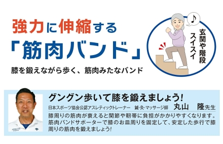 膝らく筋肉バンドサポーター 膝サポーター 日本製 2枚組 Lサイズ