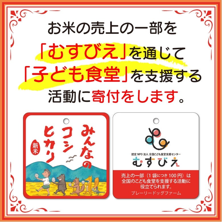 新米 三重県産 コシヒカリ 5kg 白米 令和6年産