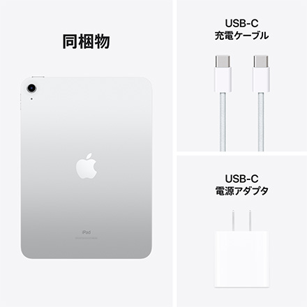 Apple iPad 第10世代 10.9インチ Wi-Fiモデル 256GB - シルバー withAppleCare+