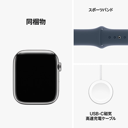 Apple Watch Series 9（GPS + Cellularモデル）- 45mmシルバーステンレススチールケースとストームブルースポーツバンド - S/M with AppleCare+