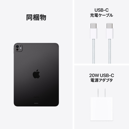 Apple iPad Pro 11インチ Wi-Fiモデル 256GB（標準ガラス搭載）- スペースブラック with AppleCare+